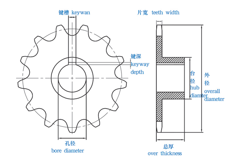 链轮